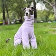 thumbnail image 4 of HQREA Fullbody Greyhound Dog Winter Coat Clothes Turtleneck Four-Legged Dog Onesie Pajamas, 4 of 6