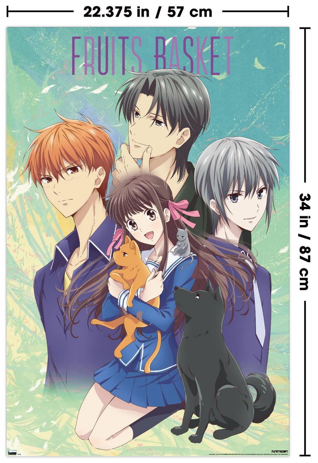 Fruits Basket - Art Work Wall Poster, 22.375" x 34"