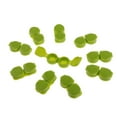 thumbnail image 7 of 10pcs/kit Lens Cases Soaking Box With Top Round Shaped Bottom - Green, 7 of 7