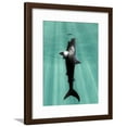 thumbnail image 1 of Megalodon Prehistoric Shark with Human, Animals Figurative Scenic Framed Art Print Wall Art by Christian Darkin Sold by Art.Com, 1 of 5
