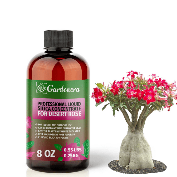β PREMIUM Bioavailable Silica Fertilizer for Desert Rose β 8oz β Ideal for Hydroponics & Soil β Healthier Plants with Strong Stalks - CONCENTRATE
