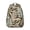 Beige-5, variant on Floral and Skull Pattern Travel Backpack for Students Unique Vintage School Bag with Bright Bloom and Blossom Illustration, Wear-Resistant and Adjustable