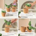 thumbnail image 4 of Cactus Plants Crochet Kit Starter Knitted Gift For Beginners Adults, 4 of 8