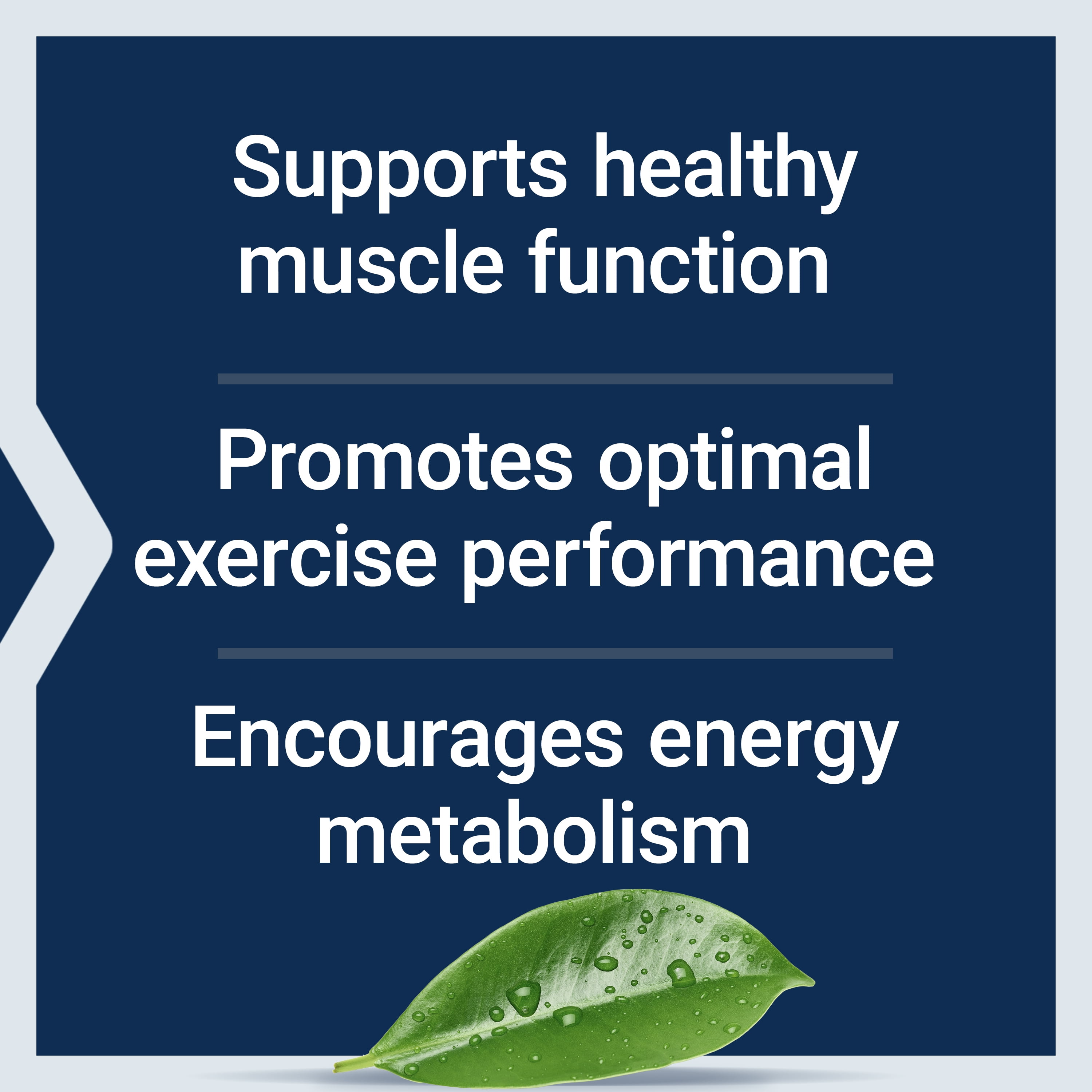 Life Extension® Creatine Capsules, 1000 mg, creatine monohydrate, muscle, endurance, energy metabolism, 120 capsules