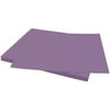 Bazzill Smoothies Cardstock 8.5"X11"-Grape Delight/Smoothies