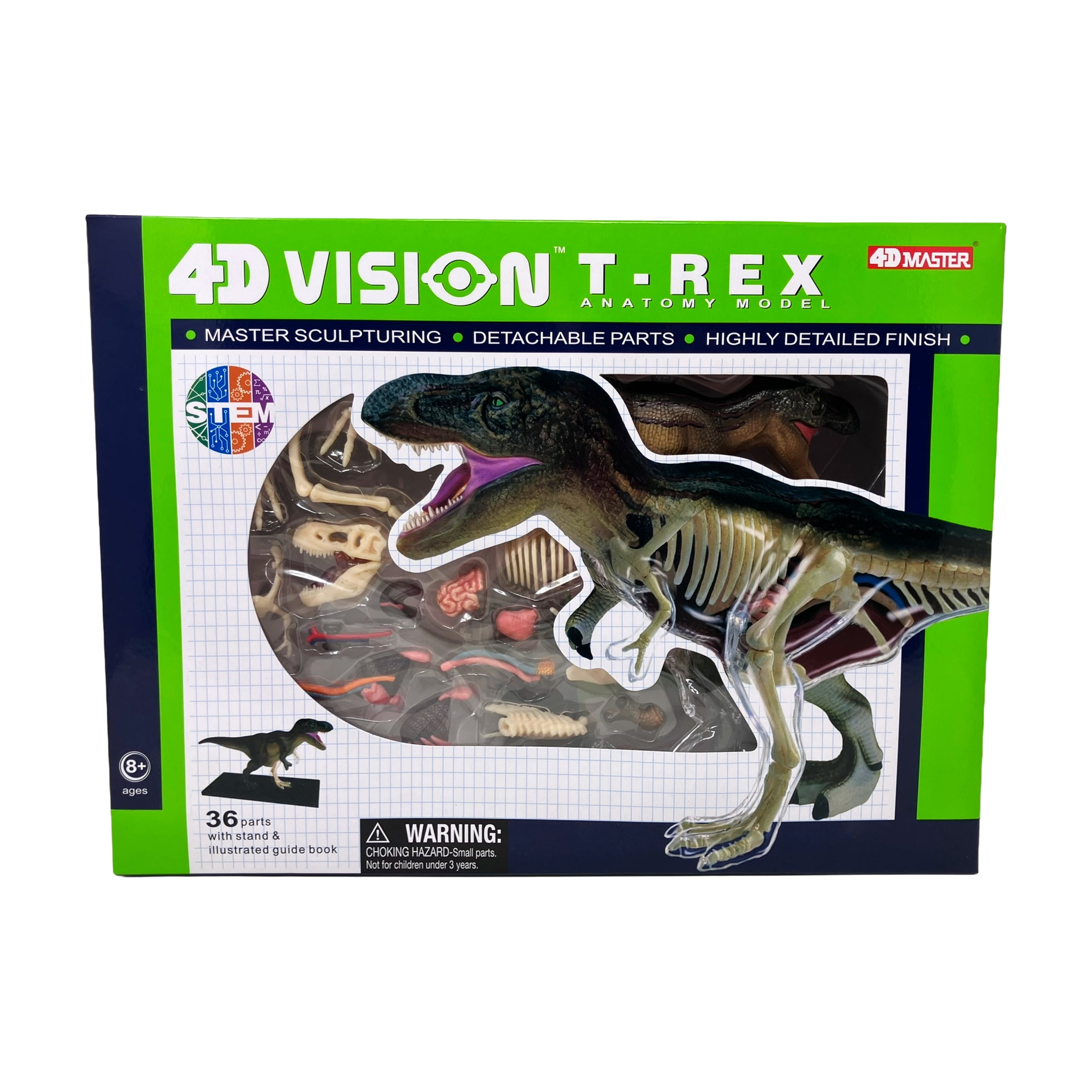 4D Master 4D Vision T-Rex Anatomy Model