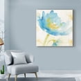 thumbnail image 3 of Trademark Fine Art 'Breeze Bloom II' Canvas Art by Sue Schlabach, 3 of 3