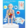 thumbnail image 2 of Doctor Kit Lehoo Castle Realistic, 36 unidades, para niños de 3 a 5 años, 2 of 7