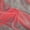 Coral, variant on MDS 5 Yard Organza Fabric for Wedding Sewing & Craft Costumes, 44” Mint