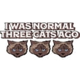 thumbnail image 3 of CafePress - I Was Normal Three Cats A - 15 oz Ceramic Large White Novelty Mug, 3 of 6