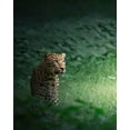 thumbnail image 2 of Rawat, Chaitanya 20x24 Gold Ornate Wood Framed with Double Matting Museum Art Print Titled - The Loner, 2 of 4