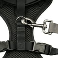 thumbnail image 5 of Vibrant Life Reflective Mesh Adjustable Dog Harness, Black, XS, 5 of 9