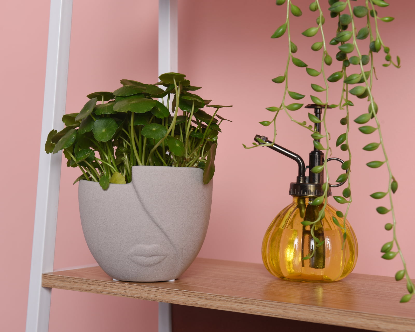 Plant&pot Outdoor Planters Mix - Brown & Amber Ceramic Succulent Pot - Set  of Four - Yahoo Shopping