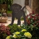 thumbnail image 4 of Perro jardín escultura patio arte Animal , estatua césped adornos artesanías, 4 of 9