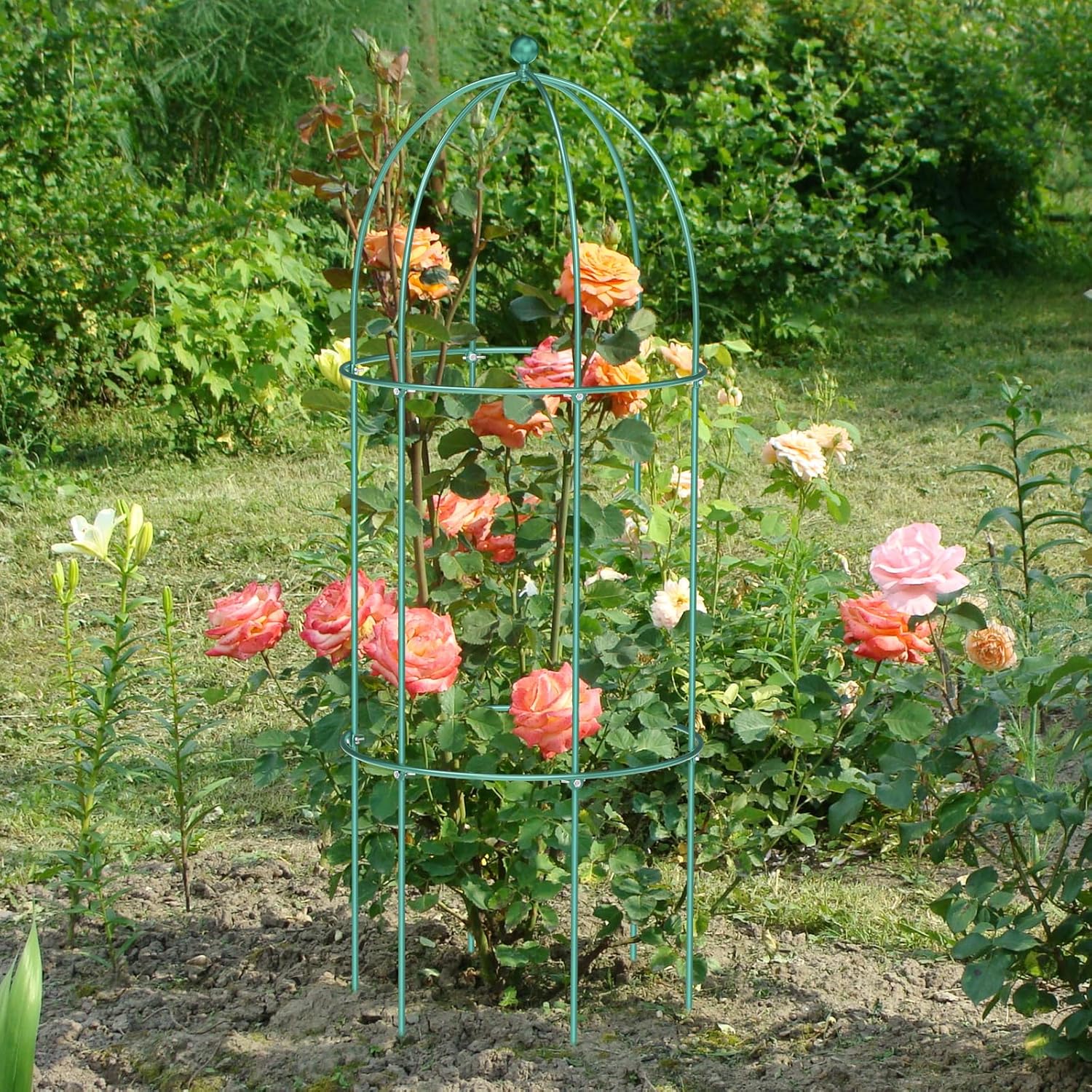 ABORON 3 Pack Garden Trellis for Climbing Plants, 17.7" x 47.2" Metal Rustproof Black Peony Cage, Outdoor Indoor Flowers Potted Obelisk Trellis for Cucumber Vine Lily Rose Plant Support