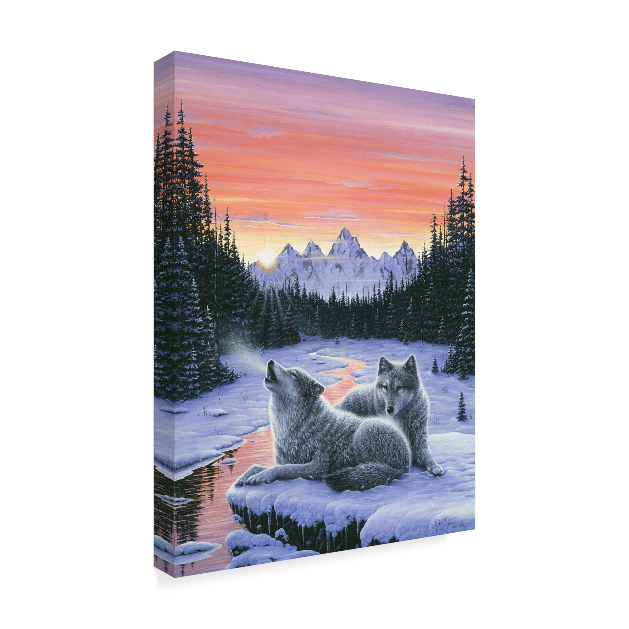 Trademark Fine Art 'Winters Dawn' Canvas Art by Jeff Tift