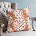 thumbnail image 4 of Pillow Covers 20x20 Set of 2, Burnt Orange Pineapple Throw Pillow Covers Decorative Couch Cushion Cover, Tropical Summer Botanical Fruits Microfiber Soft Pillowcases for Bedroom Living Room Sofa, 4 of 9
