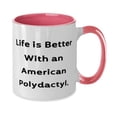 thumbnail image 2 of Special American Polydactyl Cat Gifts, Life is Better With an American Polydactyl, Epic Two Tone 11oz Mug For Cat Lovers From Friends, 2 of 2
