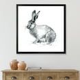 thumbnail image 3 of Designart 'Black and White Portrait Of Rabbit' Farmhouse Framed Art Print, 3 of 4