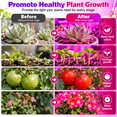 thumbnail image 6 of PEUHOP 3 Pack Grow Lights for Indoor Plants, 16.4 ft LED Grow Light Strips, Waterproof Cuttable Purple Plant Lights for Indoor Growing, Succulents and Flowers, 6 of 8