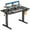Black, variant on edx Electric Standing Desk, Height Adjustable Desk, 40 x 24 Inches Ergonomic Stand up Desk with Memory Preset and T-Shaped Metal Bracket for Home Office