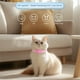 thumbnail image 5 of Collar rastreador para mascotas, para gatos y perros - Localizador GPS sin cuota mensual. Compatible con iOS y Android., 5 of 9