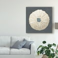 thumbnail image 3 of Trademark Fine Art 'Shell on Slate VII' Canvas Art by Megan Meagher, 3 of 4