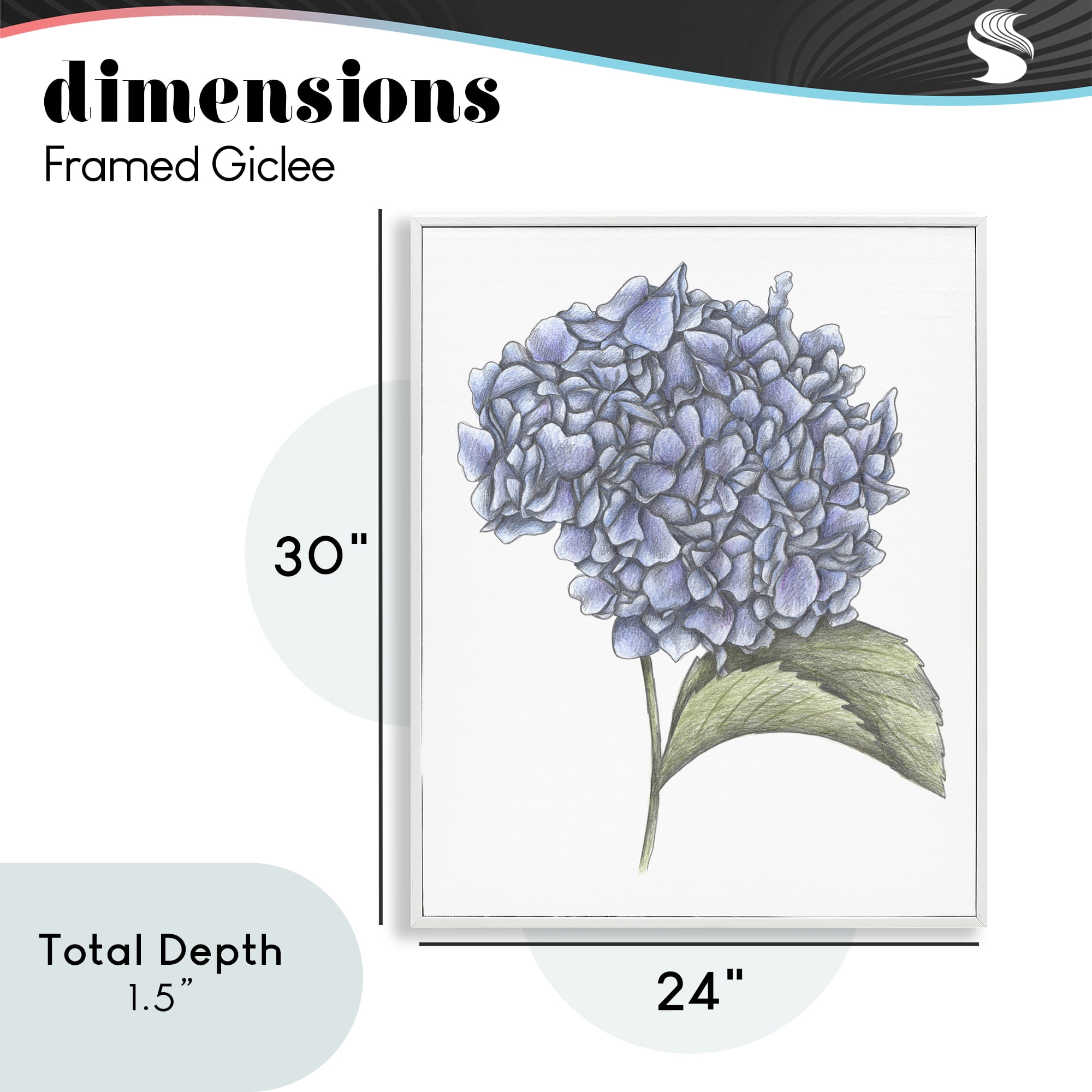 Hydrangea Sketch Blossom White Framed Giclee Art, design by Cecilia Battaini