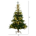 thumbnail image 2 of Nearly Natural 6ft. Pre-Lit Artificial Idaho Mixed Fir Christmas Tree with 130 Warm White LED Lights, 2 of 9