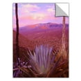 thumbnail image 2 of Dean Uhlinger Desert Cycle, Art Appeelz Removable Wall Art Graphic, 2 of 2