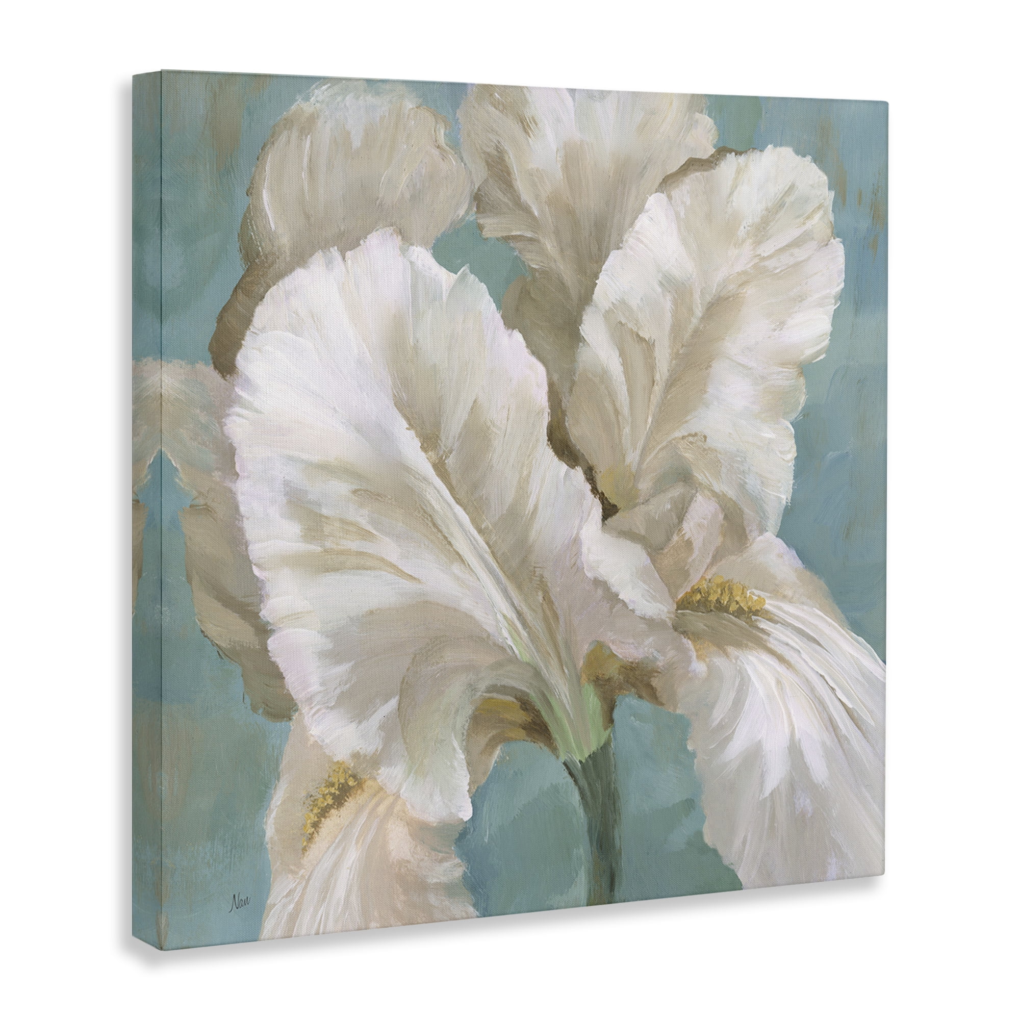 Stupell Industries White Iris Petals Botanical & Floral Painting Gallery Wrapped Canvas Art Print Wall Art, 17 x 17