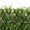 Juniper, variant on 3rd Street Inn Wintergreen Leaf Trellis - Boxwood and Ivy Privacy Fence Substitute - DIY Flexible Fencing  4-Pack