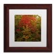 thumbnail image 2 of Trademark Fine Art "Why I Love Autumn 2" Canvas Art by Kurt Shaffer, White Matte, Wood Frame, 2 of 5
