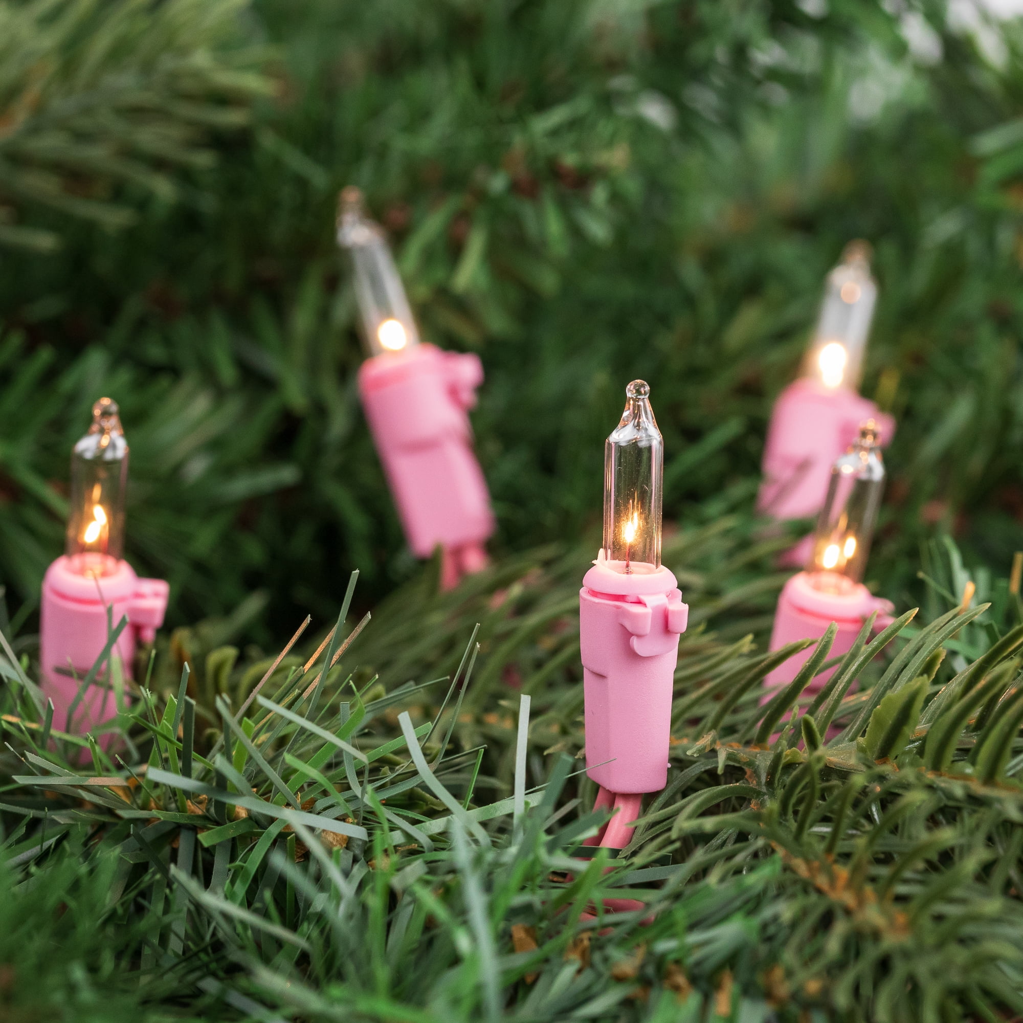 Northlight Mini Christmas Light Set - Clear - 10' Pink Wire - 50ct