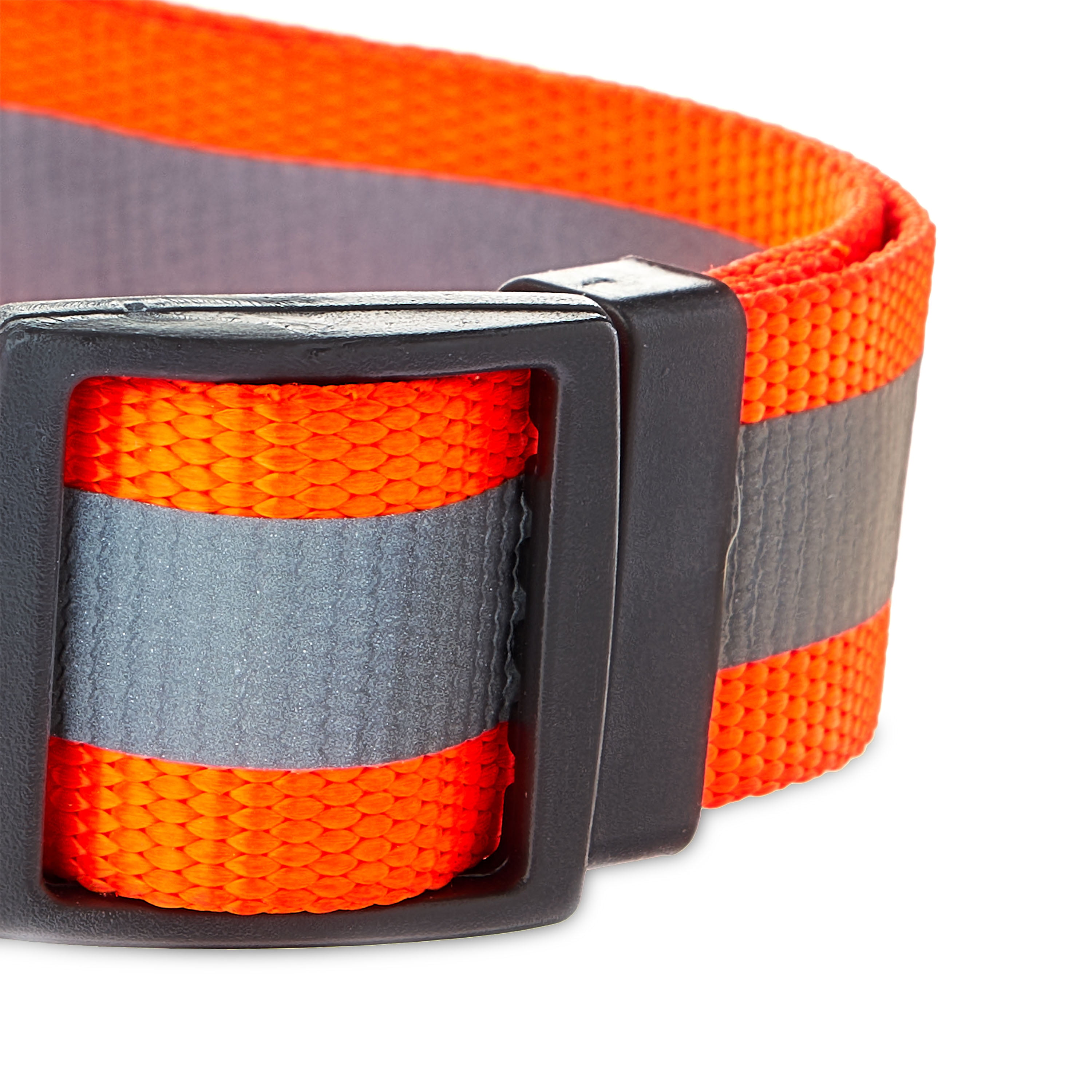 Collar with Roller Buckle And Nickel Hardware Color: Orange