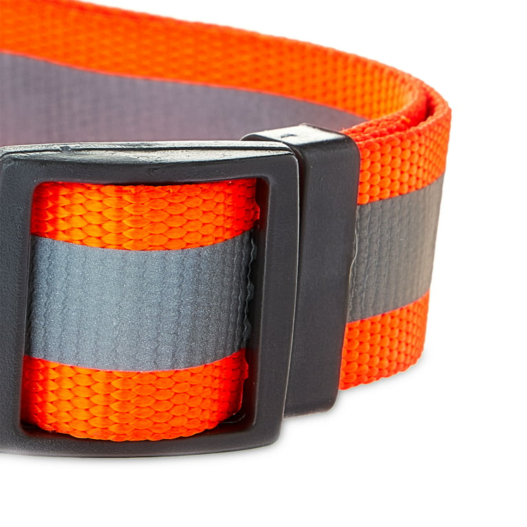 Vibrant Life Solid Nylon Dog Collar with Metal Buckle, Blue, Medium 