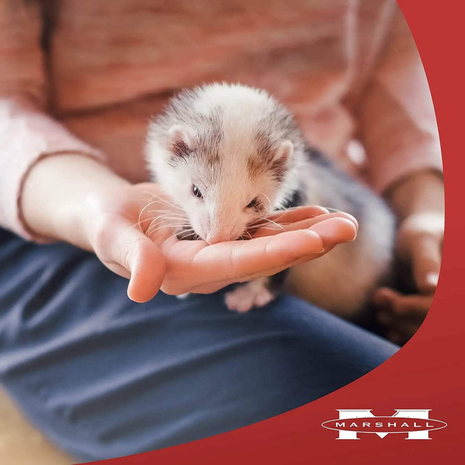 Marshall ferret top food 7lb