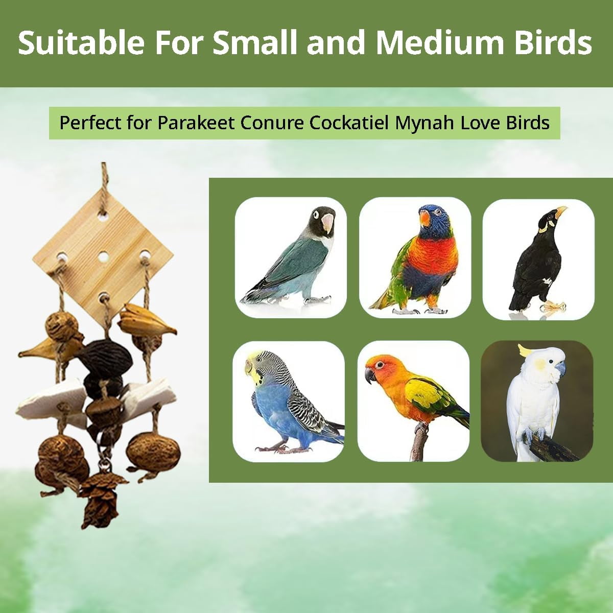 GYTY  Bird Toys Parrot Parakeet Chewing Toys- 6Pcs Hanging Cage Accessories with Natural Wood for Small Medium Budgie Conure Cockatie Lovebird