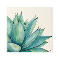 Stupell Aloe Plant Watercolor Style Leaves Botanical & Floral Painting Gallery Wrapped Canvas Print Wall Art