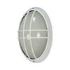 Nuvo Lighting 60/572 Single Light Oval Ambient Lighting Outdoor Bulk Head