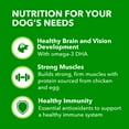 thumbnail image 5 of Iams Proactive Health Chicken And Whole Grain Recipe Dry Dog Food For Puppies, 15 Lb Bag, 5 of 12