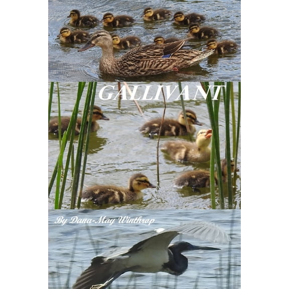 Gallivant (Paperback)