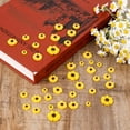 thumbnail image 3 of 50Pcs Mini Daisy Decorations, 4 Sizes White Resin Daisy Flowers Crafts Small Decorative Daisies Charms for DIY Crafts, Party, Home Decoration, 3 of 7