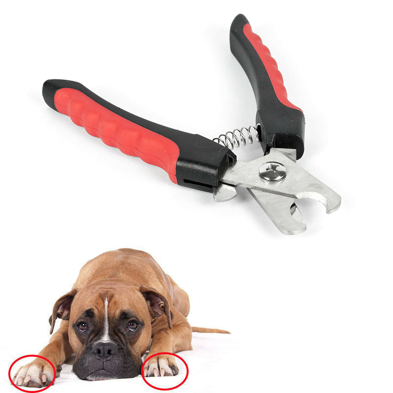 walmart dog clippers nail
