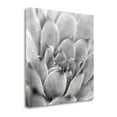 thumbnail image 2 of "Garden Succulent I" By Laura Marshall, Fine Art Giclee Print on Gallery Wrap Canvas, Ready to Hang, 2 of 2