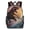 HuWng, variant on Dinosaur Surfing Epic Sunset Wave Backpacks for Backpack for Bookbag