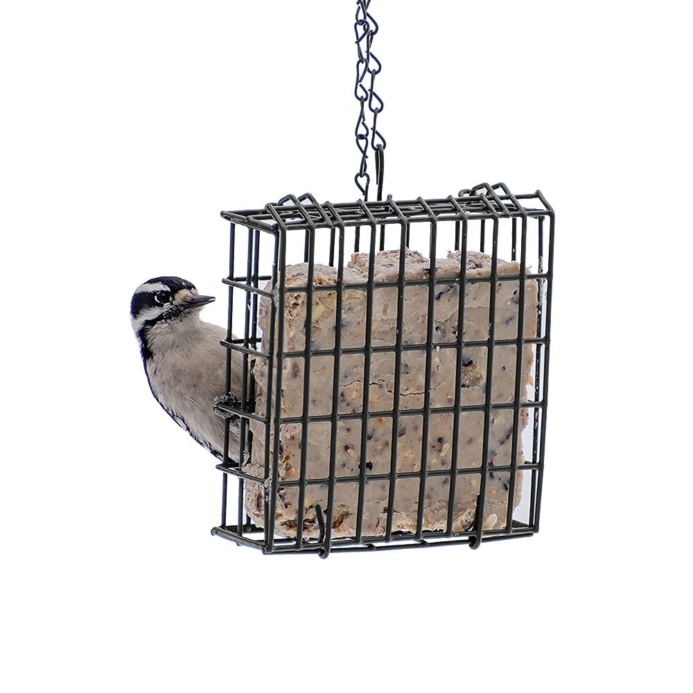 Difost Pack of 1 Bird Suet Cake Feeder for Hanging Outside Metal Garden