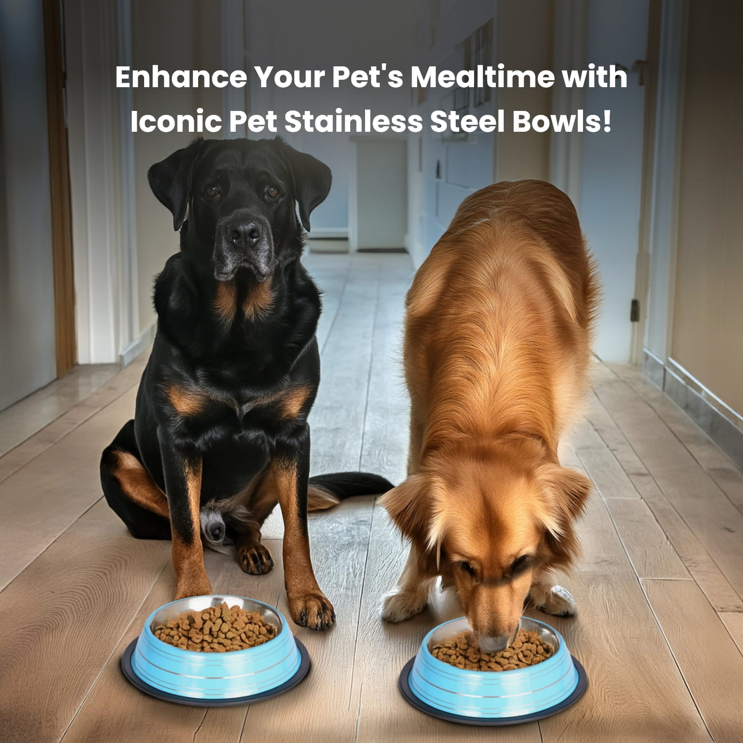 Iconic Pet 2-Pack Color Splash Stripe Non-Skid Pet Bowl, For Dog or Cat, Blue, 32 Oz, 4 Cup