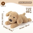 thumbnail image 3 of Highland Cow Stuffed Animals,Microwavable Stuffed Animals Heating Pad for Cramps, Pain Stress Relief, Heatable & Coolable Lavender Scented Cow Plush Toy for Anxiety, Women Kid Bedtime Highland Cattle, 3 of 10