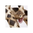 thumbnail image 6 of Safari Ltd. Eastern Diamondback Rattlesnake Figurine - Realistic 40" Model Figure - Educational Toy for Boys, Girls, and Kids Ages 18M+, 6 of 7